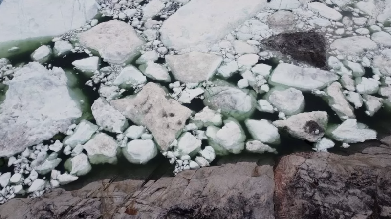 氣候變化：隨著北極變暖格陵蘭島的發(fā)生了什么變化？